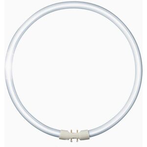 Patron T5 FC 40W/840 Circline Lumilux Cool White 2GX13