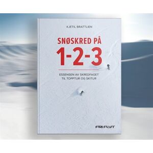 Fri flyt Snøskred på 1-2-3