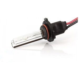 Lumen Hb3 Xenonpærer (8000k)