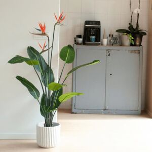 Emerald Kunstig plante Strelitzia i potte med blomster 120 cm