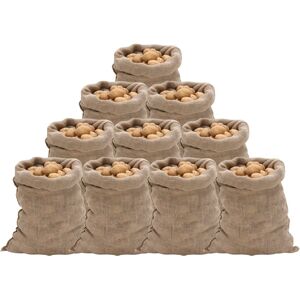 vidaXL Jutesekker 10 stk 60x105 cm 100% jute 220 gsm