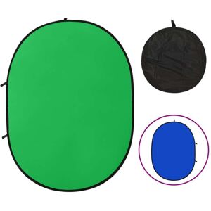 vidaXL 2-i-1 Studiobakgrunn oval grønn og blå 200x150 cm