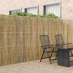 vidaXL Bambu Hekke 300x180 cm