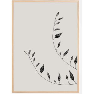 Bildverkstad Wavy Branches Plakat (30x40 Cm)