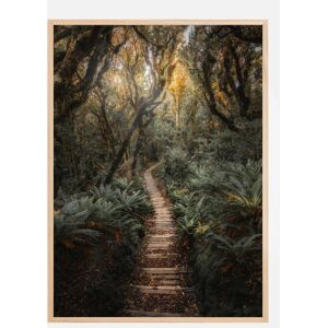 Bildverkstad Narrow Path Plakat (21x29.7 Cm (A4))