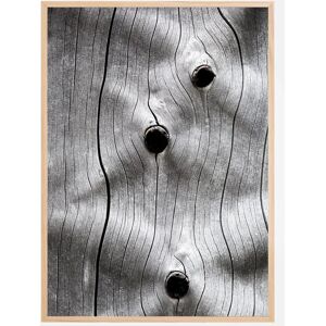 Bildverkstad Tree Trunk Plakat (50x70 Cm)