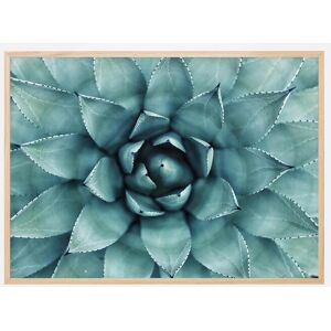 Bildverkstad Turkis Blomst Plakat (30x40 Cm)