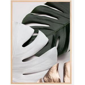 Bildverkstad Monstera Colors Plakat (50x70 Cm)