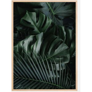 Bildverkstad Monstera Plant Ii Plakat (30x40 Cm)