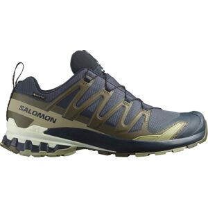 Salomon Men's Xa 3d Pro V9 Gore-tex India Ink/olive Night/aloe Wash 8