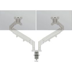 Leitz Ergo Braço de monitor duplo economizador de espaço, capacidade de carga 9 kg, cinzento claro