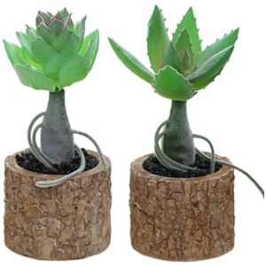 Rnemitery 2 Peças de Plantas Suculentas Artificiais em Vaso Pequenos Ornamentos Criativos para Interiores Flores Plásticas Artificiais