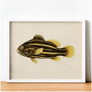 Nacnic Póster Linha de Peixe e Peixe Marrom, Fundo de Papel Vintage.