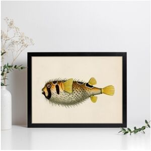 Nacnic Póster Peixe Amarelo, Preto e Branco, Fundo de Papel Vintage.