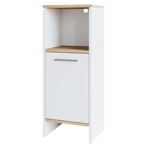 Vicco Móvel De Armazenamento Para Banheiro Elvio, 32x82,2cm, Branco, Branco,