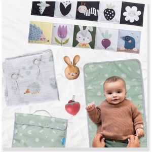 Conjunto especial passeio - TAF TOYS multicolor