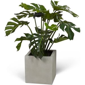 Wexter Konstväxt split philo 80cm