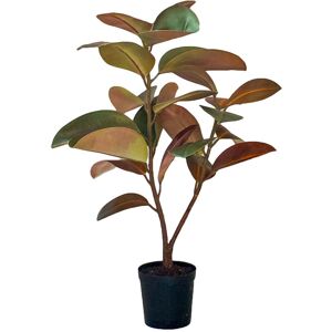 Götessons Konstväxt Fikus Elastica 900