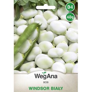 Bob Windsor White 40g bondbönsfrön - WegAna