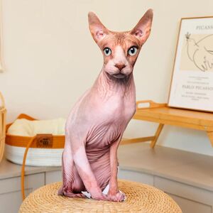 Kidsly Söta Livslika 3D Katt Plyschleksaker Uppstoppad Mjuk Djurdocka Simulering Sovkudde Soffkudde Tecknad Docka Heminredning Gåva 48cm