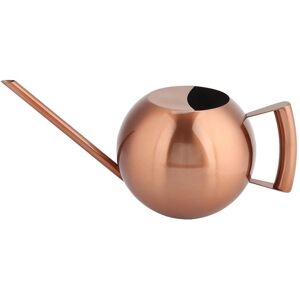 Health & Beauty PRODUCT 1000ml vattenkanna i rostfritt stål, ströburk, lång öppning, trädgårdsblommor, växter, blomverktyg, brons antik bronsfärg