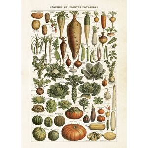 Sköna Ting Poster Vegetables Stor