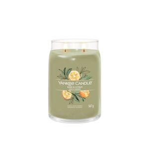 Yankee Candle- Sage & Citrus- Large 567 gr