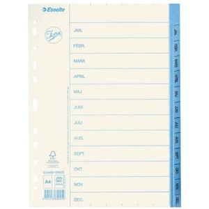 Pärmregister JOPA Papper A4 Jan-Dec, blå flik, 10st 10st
