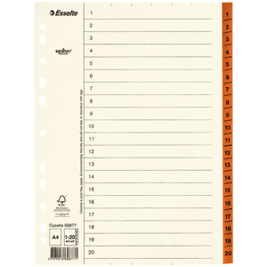 Pärmregister ESSELTE A4 1-20, flikförstärk 10st