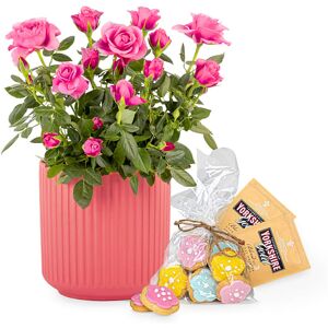 123 Flowers Rose Garden Gift