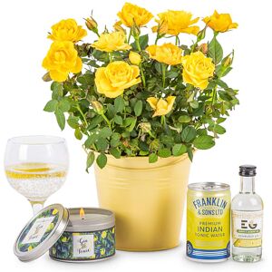 123 Flowers Roses and Gin - Gin Gifts - Gin Gift Delivery - Gifts with Gin - Gin Gift Sets - Gin Gift Baskets - Gin Hampers