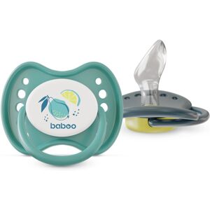 Baboo Soothers Silicone Orthodontic with Case dummy Lagoon Fiesta 6-12 m 2 pc