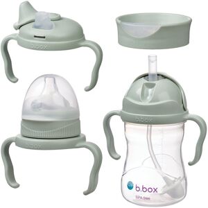 B.Box Baby Bottle 4 in 1 children’s bottle 4-in-1 Sage 240 ml