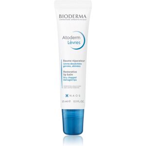 Bioderma Atoderm Lip Balm restoring balm for dry lips 15 ml