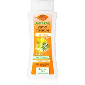 Bione Cosmetics Antakne purifying toner with sulphur 255 ml