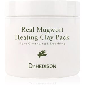 Dr. HEDISON Real Mugwort cleansing face mask with clay 265 ml