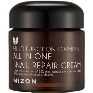 Mizon All in One Snail Repair Cream Multi Function Formula 75mL