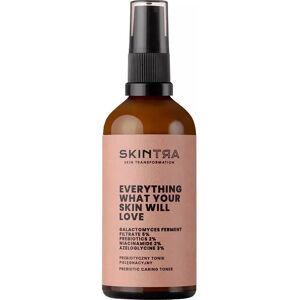 SkinTra Everything What Your Skin Will Love Prebiotic Caring Toner 100mL