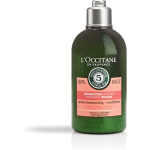 L& 039;Occitane L'Occitane Aroma Intensive Repairing Conditioner For Damaged Hair (250ml)