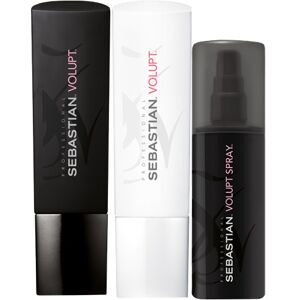 Sebastian Professional Volupt Pack