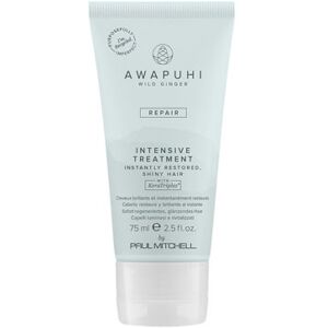 Paul Mitchell Awapuhi Wild Ginger Intensive Treatment 75ml