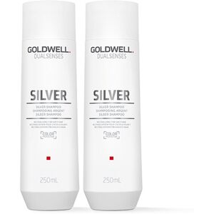 Goldwell Dual Senses Silver Shampoo 250ml Double