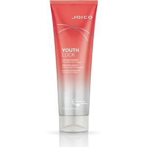 JOICO YouthLock Conditioner 250ml