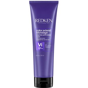 Redken Color Extend Blondage Express Anti-Brass Mask 250ml