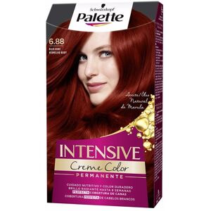 Palette Intensive dye 6.88-ruby red