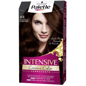 Palette Intensive dye 4.6-chestnut brown