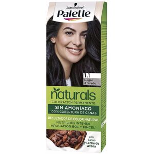 Palette Natural dye 1.1-blue black