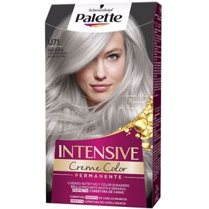Palette Intensive dye U71-silver gray
