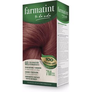 Farmatint Gel permanent coloring 7m-mahogany blonde 5 units