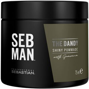 Seb Man Sebman The Dandy Pomade Fixing Wax Shiny Finish 75 ml